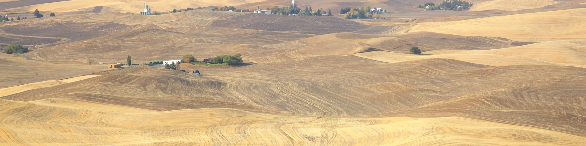 Steptoe Butte State Park mostrando vista panorámica y vista al desierto