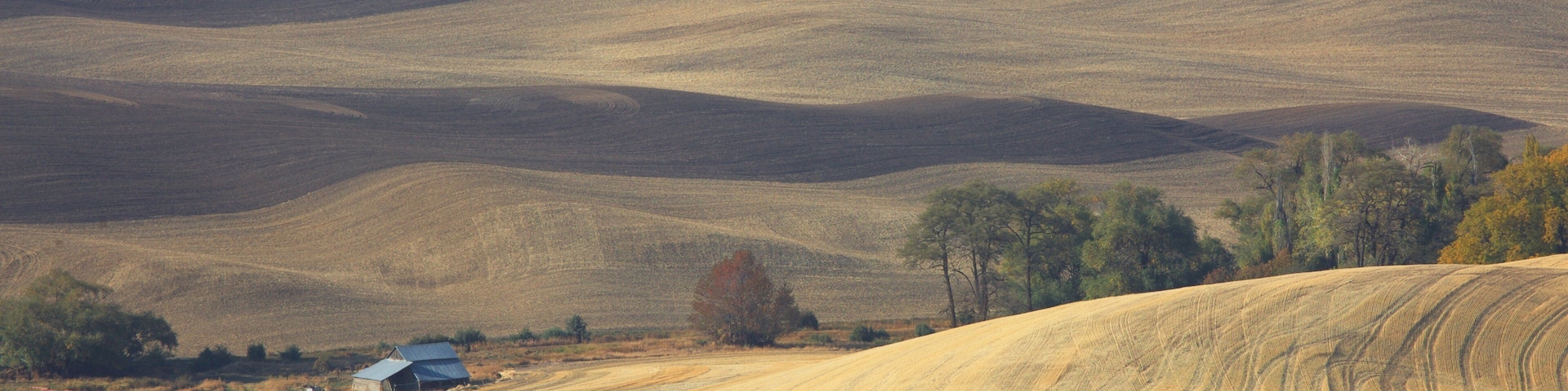 Pullman showing tranquil scenes