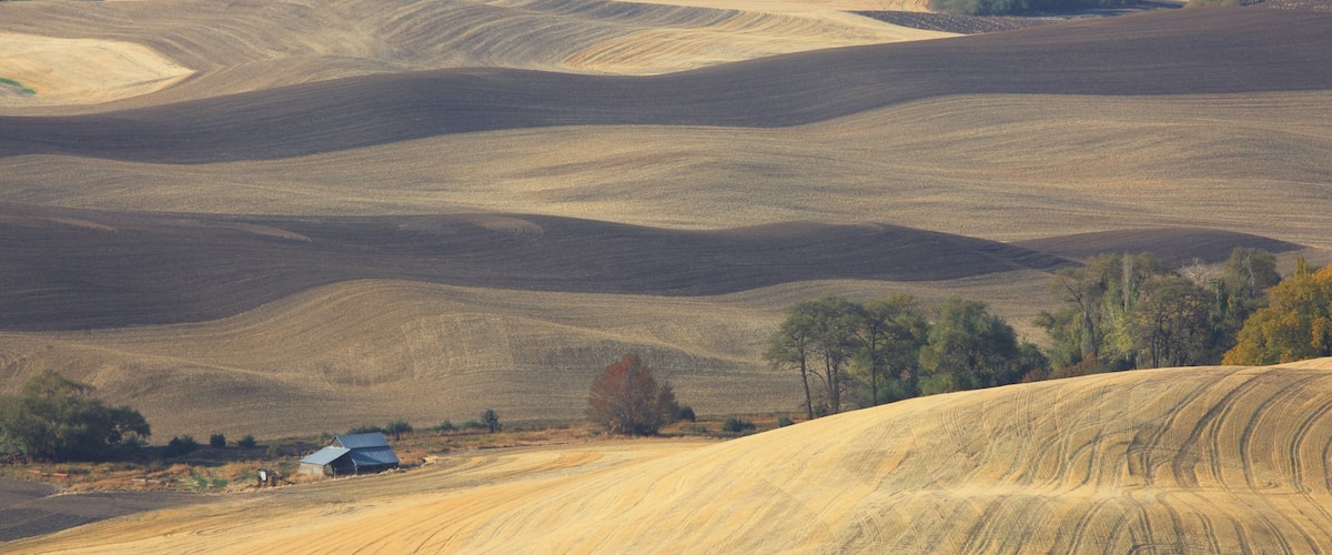 Pullman showing tranquil scenes