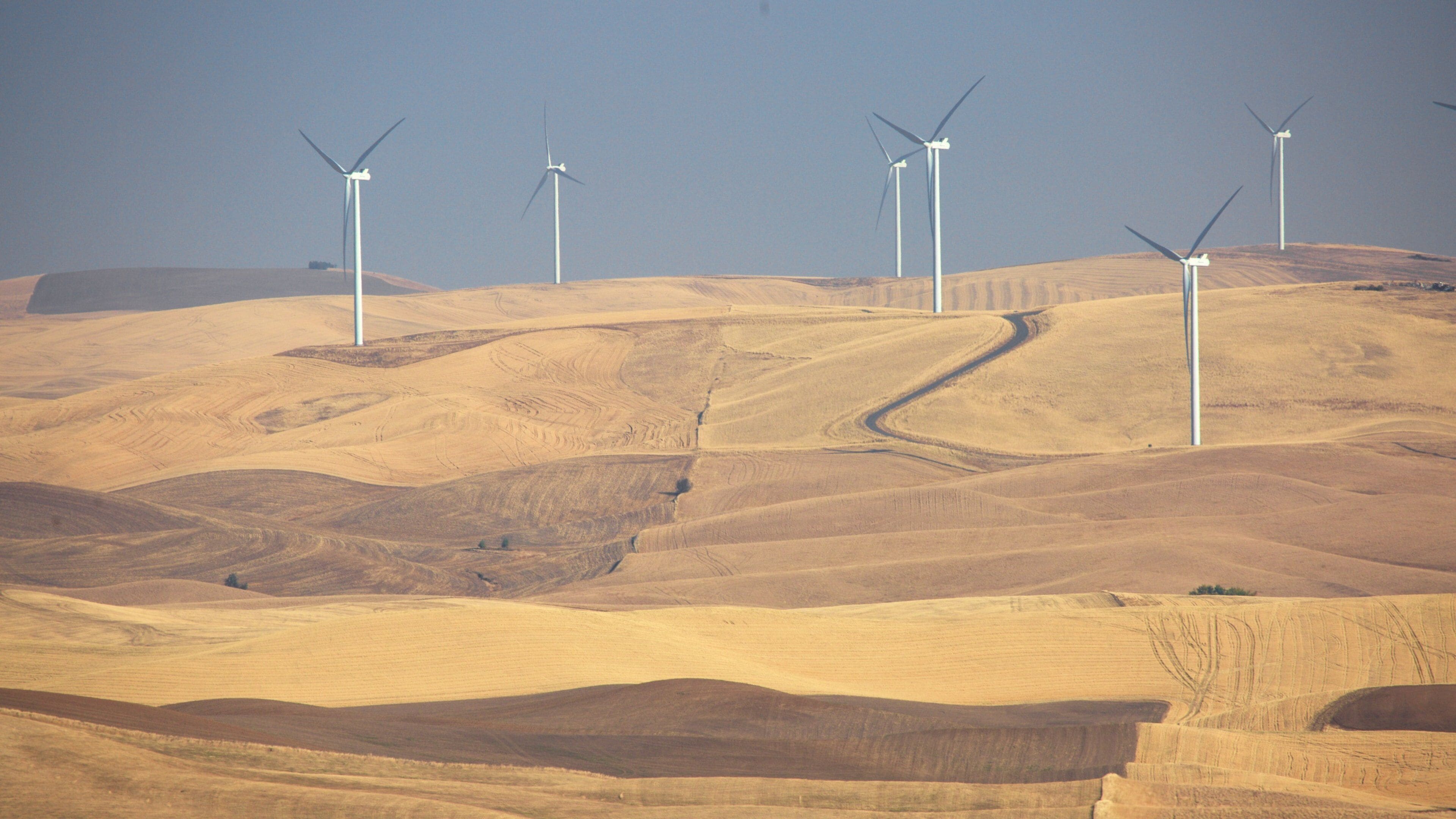 Eastern Washington featuring tranquil scenes and farmland