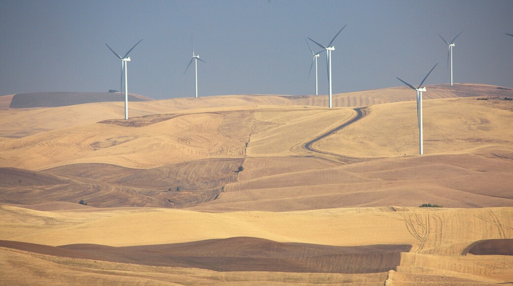 Eastern Washington featuring tranquil scenes and farmland