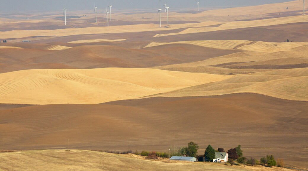 Pullman which includes tranquil scenes and farmland