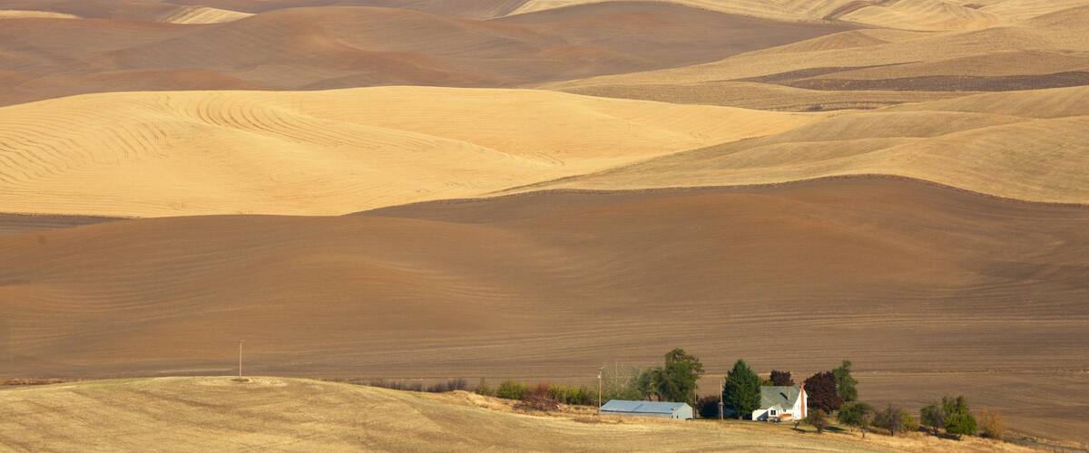 プルマン 表示 静かな風景 と 農地