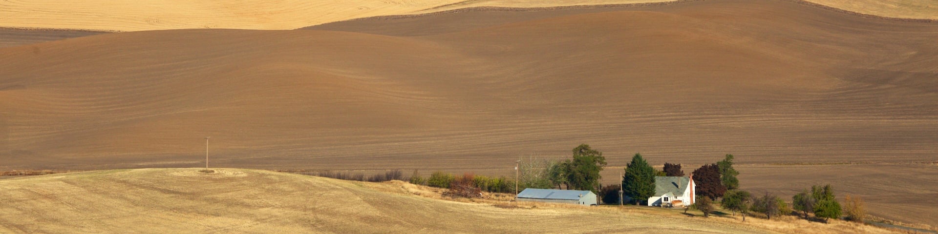 Rolling hills, wind turbines, and a small house in a rural landscape.