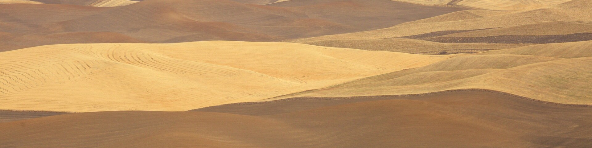 Pullman mostrando tierra de cultivo y situaciones tranquilas