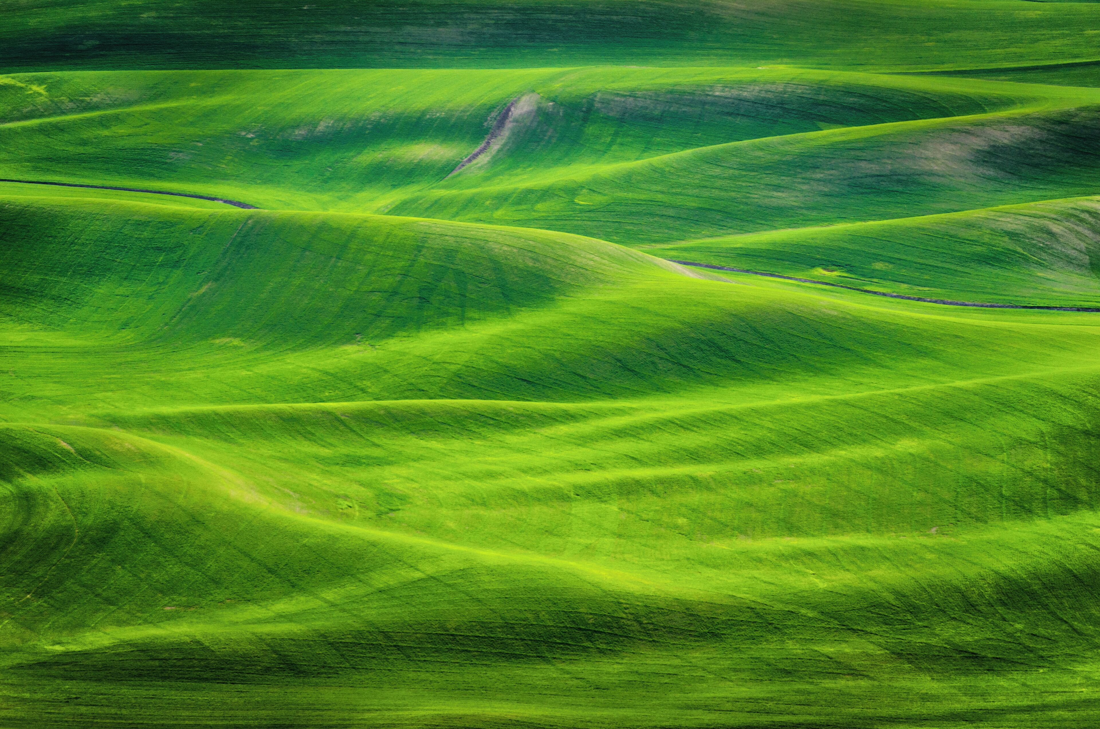 "High above the Palouse Hills on the eastern edge of Washington, Steptoe Butte offers unparalleled views of a truly unique landscape. The warm quartzite bluff stands out against soft hills of green and mauve, an occasional barn dotting the landscape. Colors seem to shift and change in the light.

"The butte contains some of the oldest rock in the Pacific Northwest, and it marks the border of the original North American Continent.

"Steptoe has, over time, been a wagon road, a hotel site and an observatory location. In addition to inspiring vistas, the 3,612-foot summit displays several interpretive panels that pay homage to its distinctive geology. This day-use park is a must-visit on a leisurely drive through eastern Washington."

https://parks.state.wa.us/592/Steptoe-Butte

#lifeatexpedia #Nature