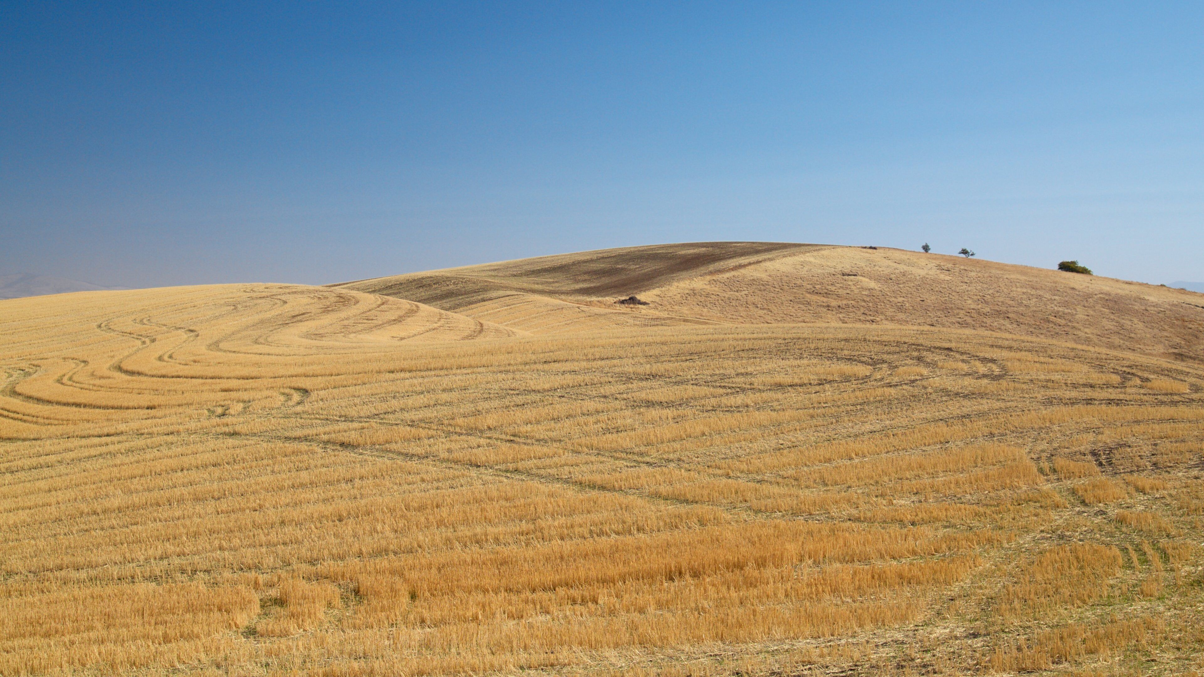 Steptoe Butte State Park featuring landscape views and tranquil scenes