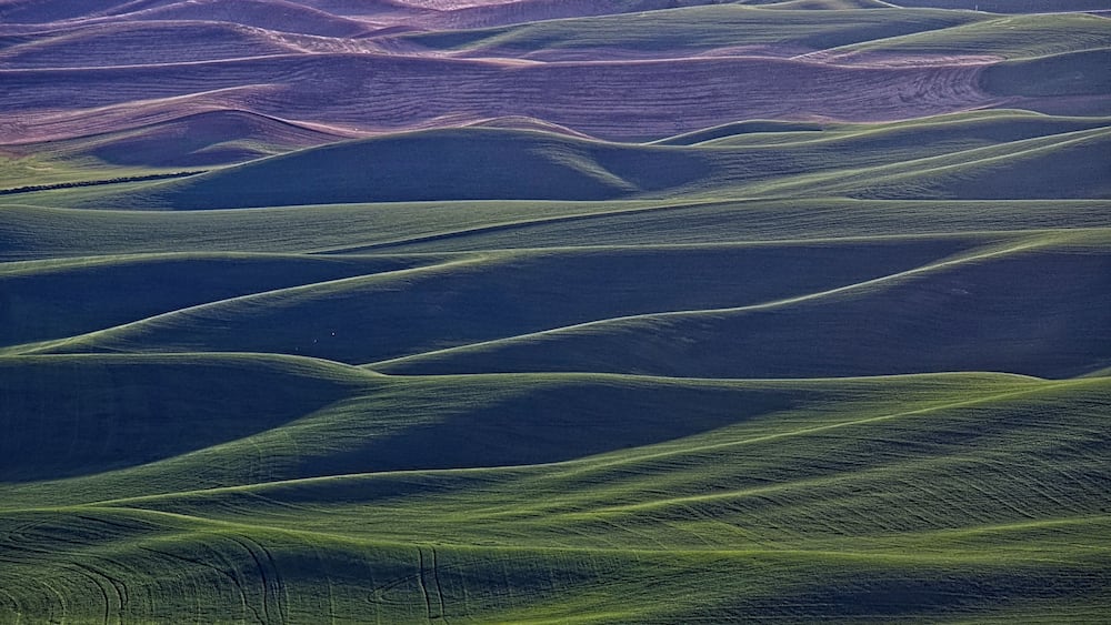 Rolling green hills with a winding path.