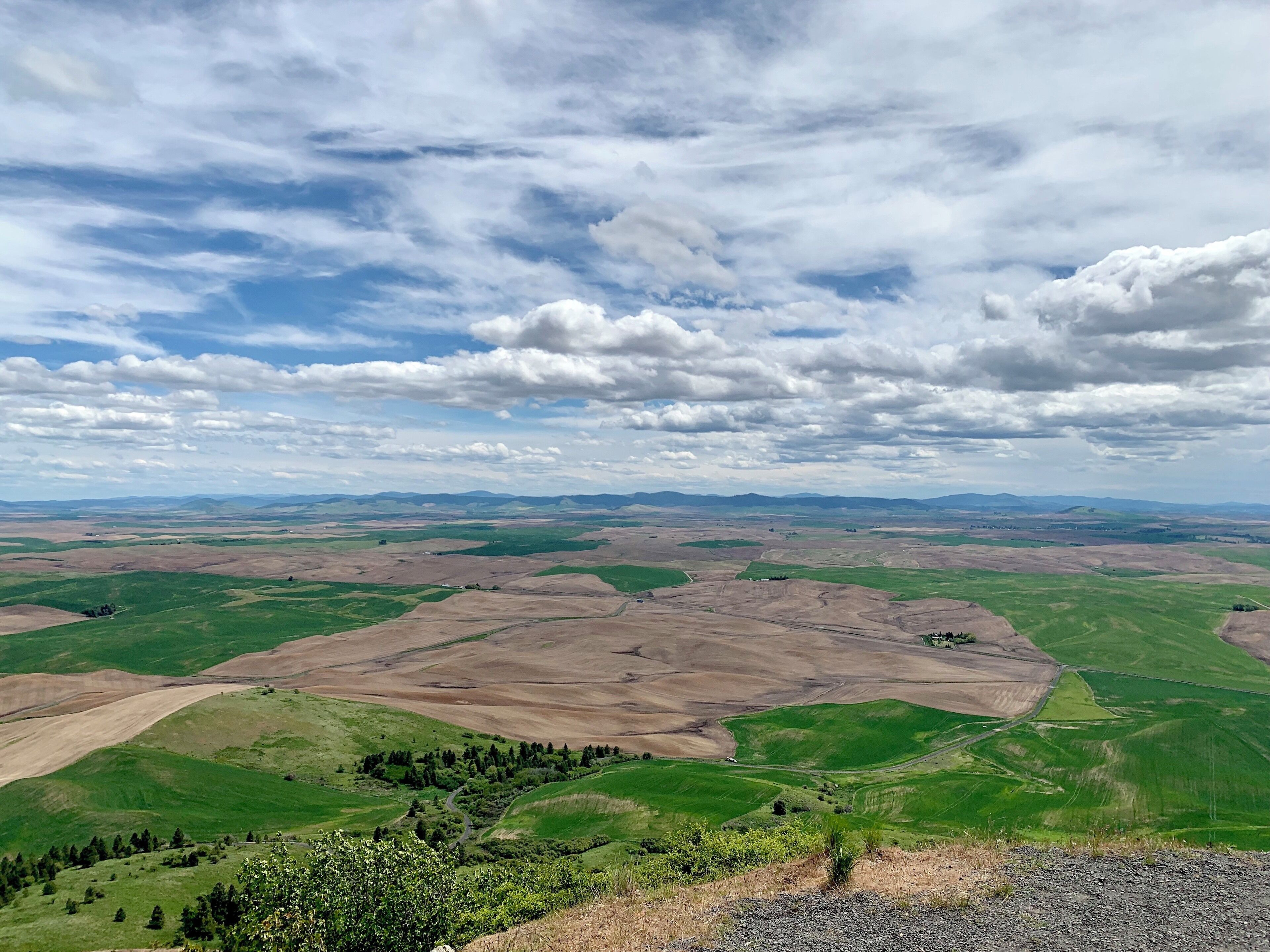 Top 10 Hotels in Pullman, WA (from $63) 2026 - Competitive Prices | Expedia