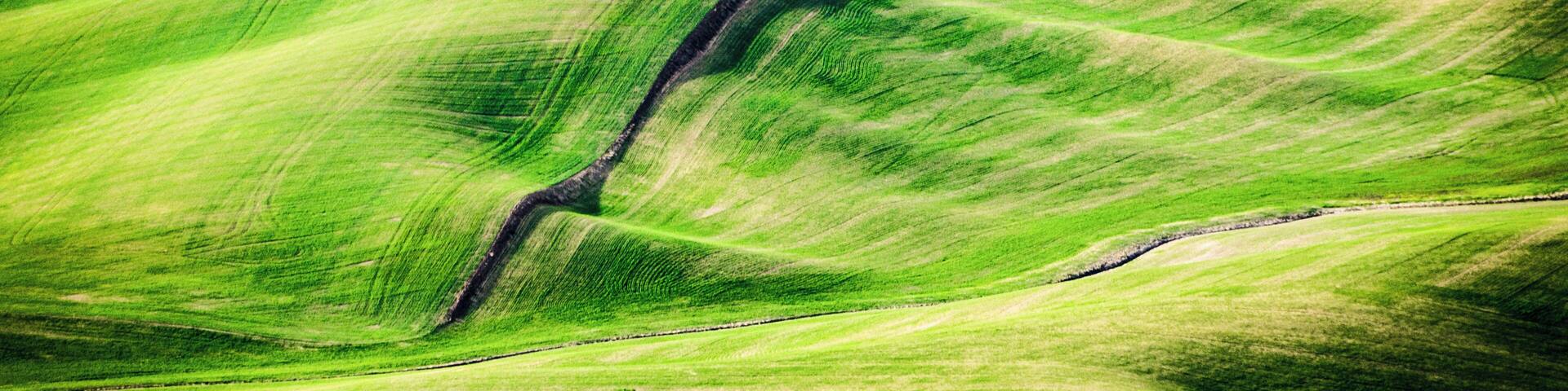 "High above the Palouse Hills on the eastern edge of Washington, Steptoe Butte offers unparalleled views of a truly unique landscape. The warm quartzite bluff stands out against soft hills of green and mauve, an occasional barn dotting the landscape. Colors seem to shift and change in the light.
"The butte contains some of the oldest rock in the Pacific Northwest, and it marks the border of the original North American Continent.
"Steptoe has, over time, been a wagon road, a hotel site and an observatory location. In addition to inspiring vistas, the 3,612-foot summit displays several interpretive panels that pay homage to its distinctive geology. This day-use park is a must-visit on a leisurely drive through eastern Washington."
https://parks.state.wa.us/592/Steptoe-Butte
#lifeatexpedia #Nature