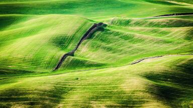 "High above the Palouse Hills on the eastern edge of Washington, Steptoe Butte offers unparalleled views of a truly unique landscape. The warm quartzite bluff stands out against soft hills of green and mauve, an occasional barn dotting the landscape. Colors seem to shift and change in the light.
"The butte contains some of the oldest rock in the Pacific Northwest, and it marks the border of the original North American Continent.
"Steptoe has, over time, been a wagon road, a hotel site and an observatory location. In addition to inspiring vistas, the 3,612-foot summit displays several interpretive panels that pay homage to its distinctive geology. This day-use park is a must-visit on a leisurely drive through eastern Washington."
https://parks.state.wa.us/592/Steptoe-Butte
#lifeatexpedia #Nature