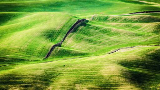 "High above the Palouse Hills on the eastern edge of Washington, Steptoe Butte offers unparalleled views of a truly unique landscape. The warm quartzite bluff stands out against soft hills of green and mauve, an occasional barn dotting the landscape. Colors seem to shift and change in the light.
"The butte contains some of the oldest rock in the Pacific Northwest, and it marks the border of the original North American Continent.
"Steptoe has, over time, been a wagon road, a hotel site and an observatory location. In addition to inspiring vistas, the 3,612-foot summit displays several interpretive panels that pay homage to its distinctive geology. This day-use park is a must-visit on a leisurely drive through eastern Washington."
https://parks.state.wa.us/592/Steptoe-Butte
#lifeatexpedia #Nature