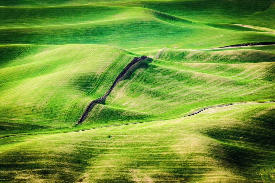 Rolling green hills with a narrow path cutting through them.