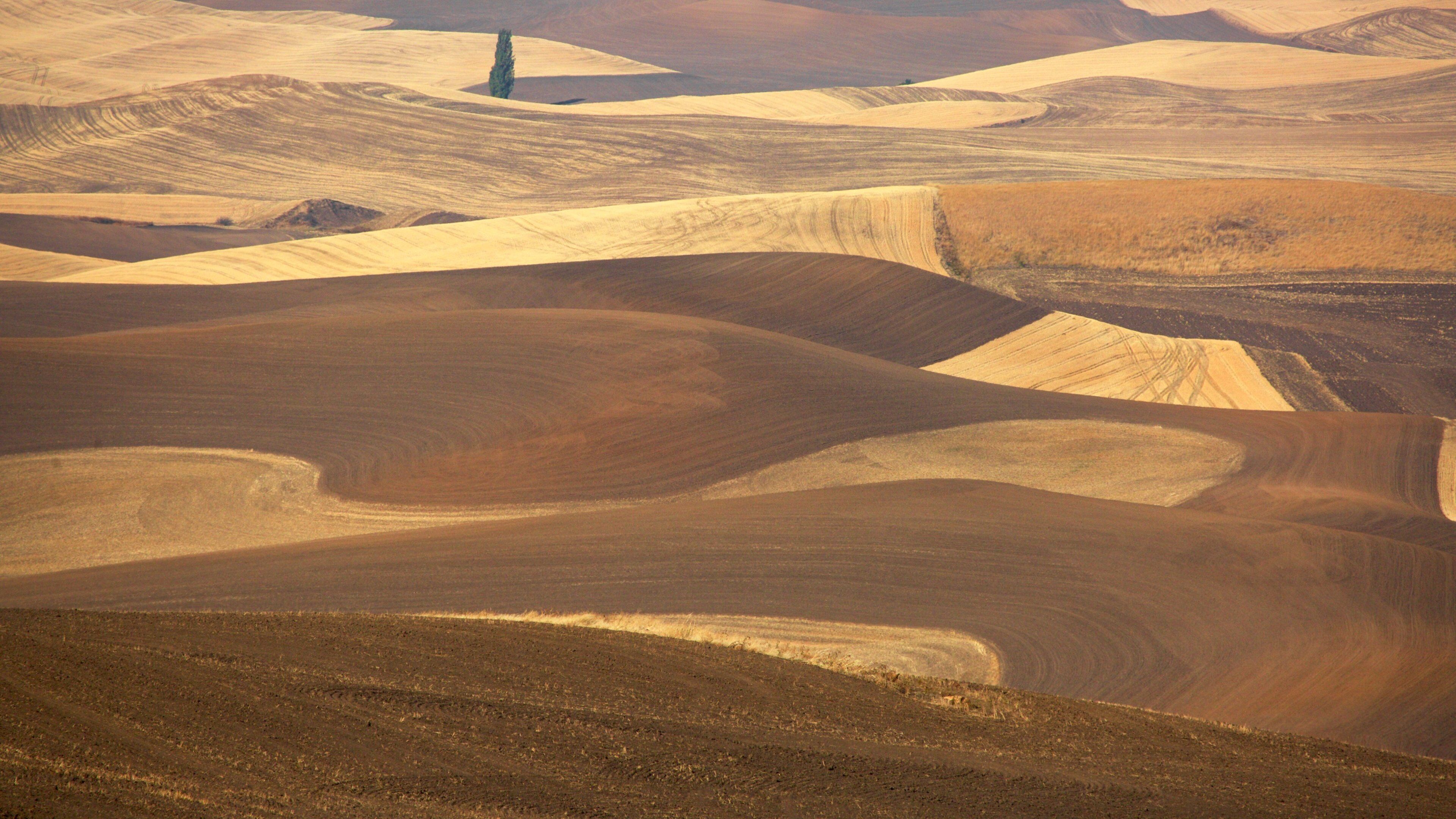 Pullman showing landscape views and tranquil scenes
