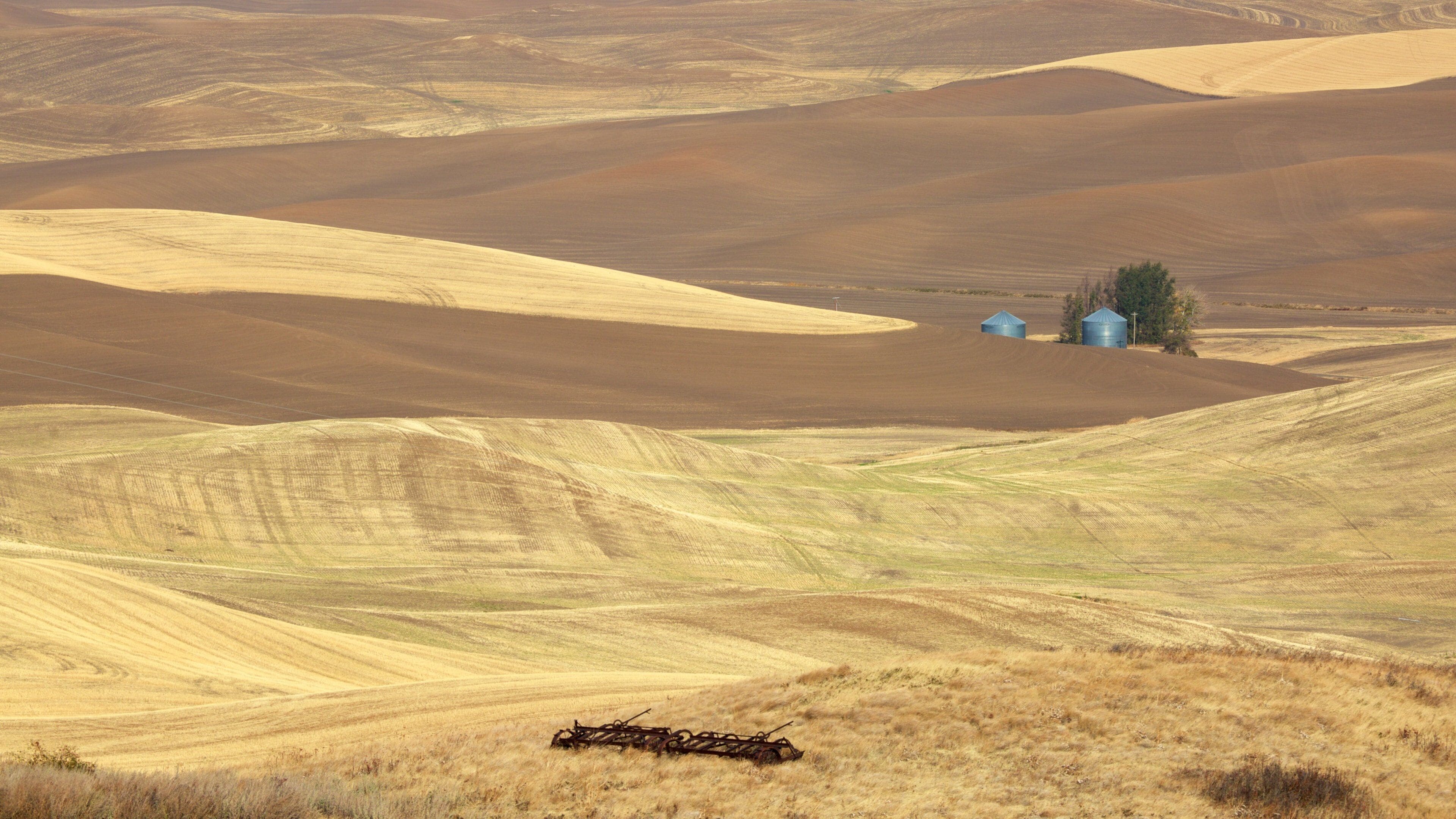 Pullman which includes landscape views and tranquil scenes