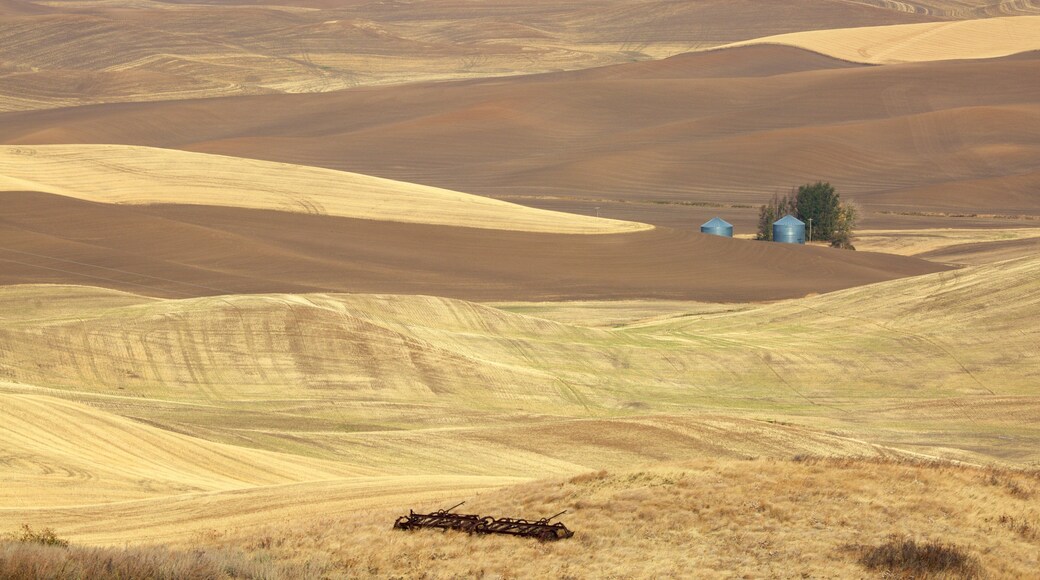 Pullman which includes landscape views and tranquil scenes
