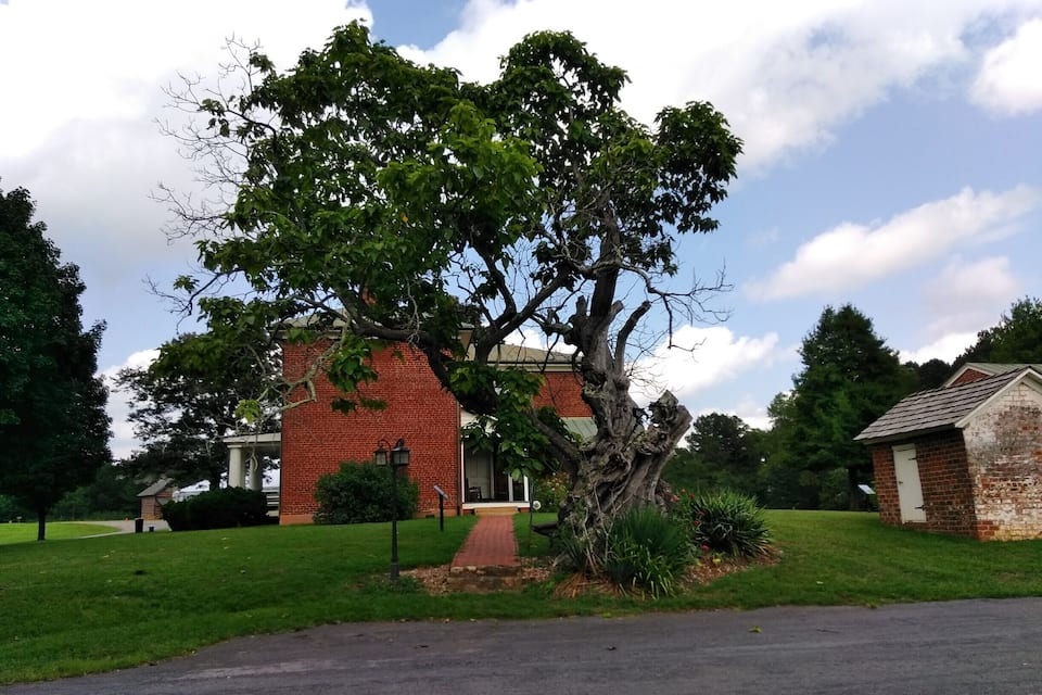 A brick building with a large tree in front.