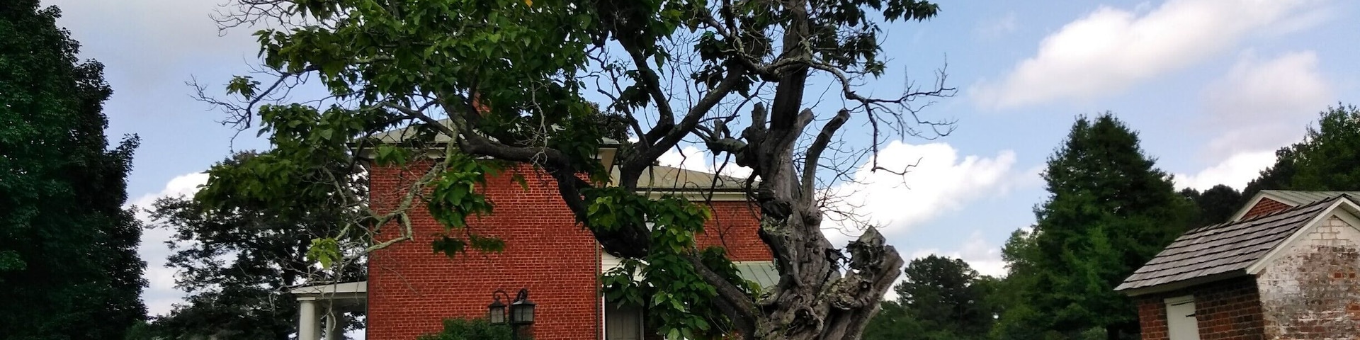 The Reynolds Homestead, built in 1943 is in a beautiful foothill setting. Hardin Reynolds and his wife produced 16 children here, the most famous being RJ Reynolds who migrated to Winston Salem, NC to start the tobacco empire of the same name. The catalpa tree in the foreground still remains from the earliest days of the homestead.