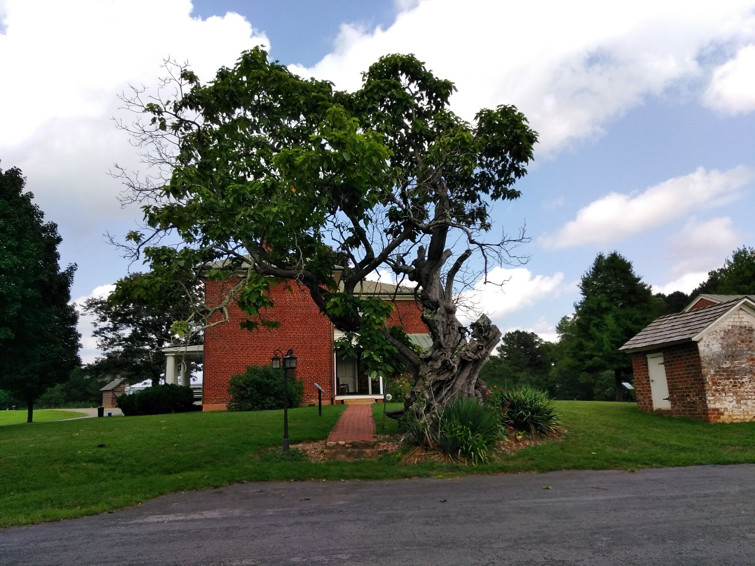 A brick building with a large tree in front.