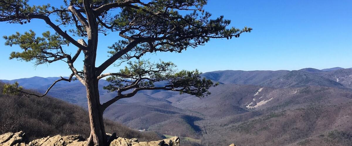 Ravens Roost Overlook along the Blue Ridge Parkway in VA
