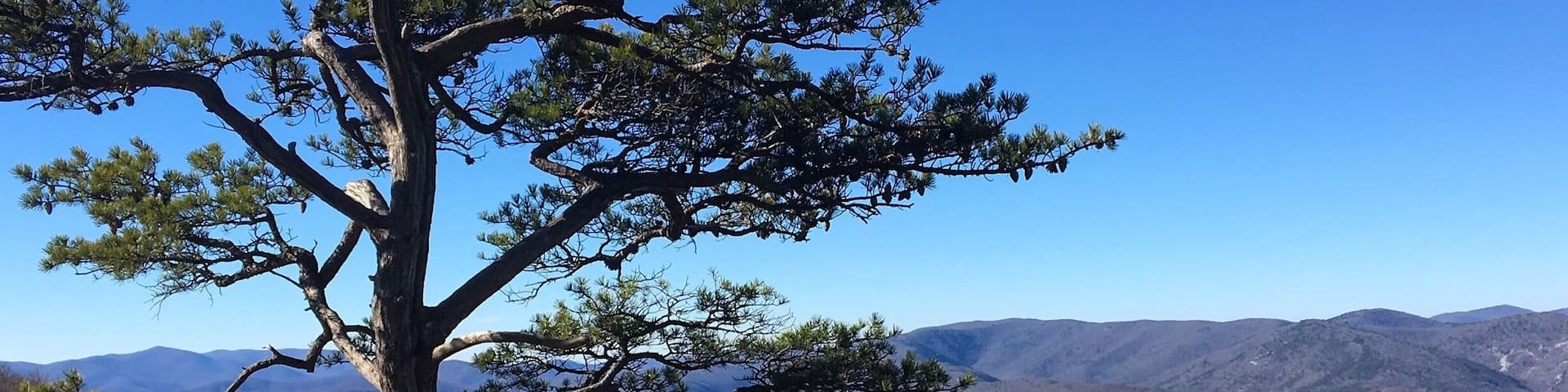 Ravens Roost Overlook along the Blue Ridge Parkway in VA