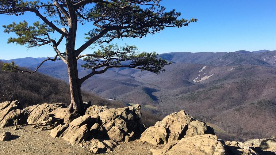 Ravens Roost Overlook along the Blue Ridge Parkway in VA