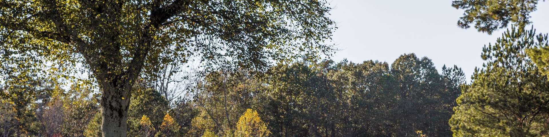 Richmond_ColdHarborNationalCemetery_553248621561864346_19