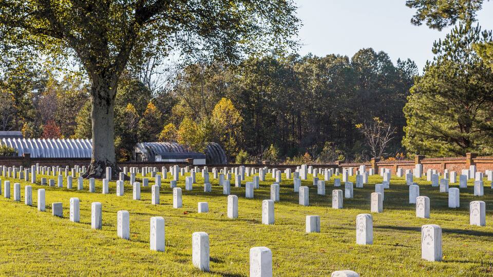 A cemetery with numerous headstones and a large tree in the foreground.