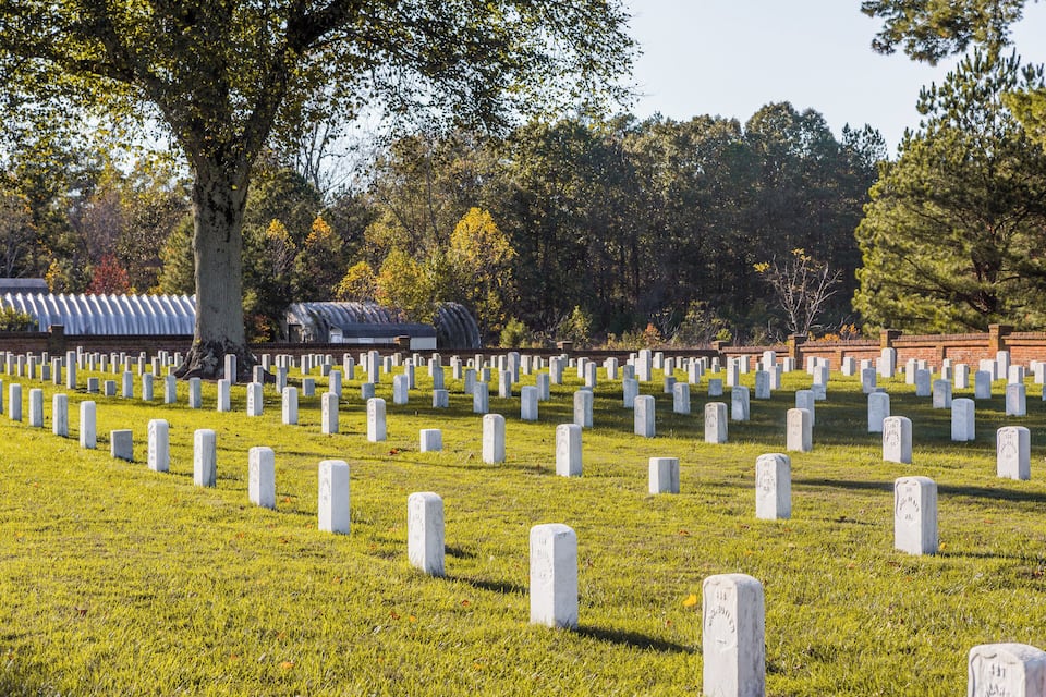 A cemetery with numerous headstones and a large tree in the foreground.