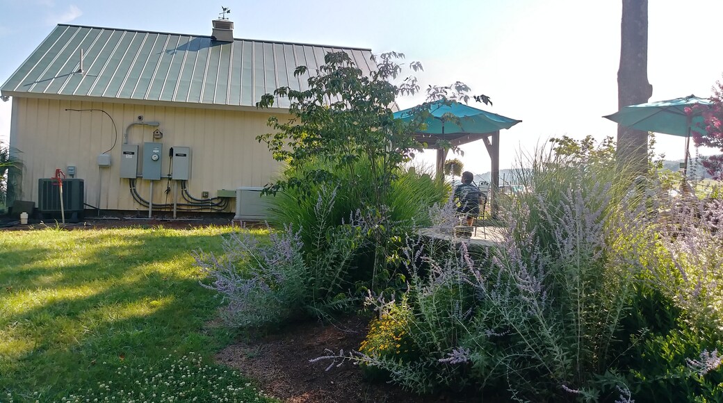 Wines and interesting meads too, on road to Orange