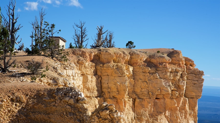Bryce Canyon National Park featuring desert views, tranquil scenes and a gorge or canyon