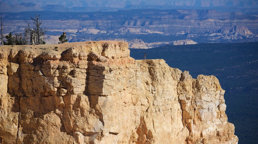 Bristlecone Loop featuring landscape views and rocky coastline