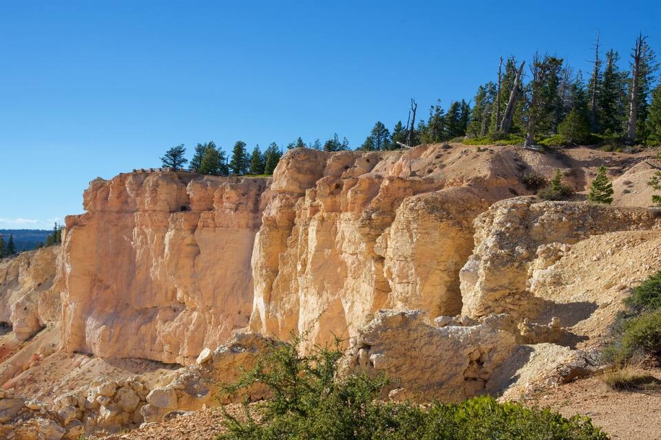 A rugged cliff with a wooden fence, surrounded by sparse vegetation and trees.