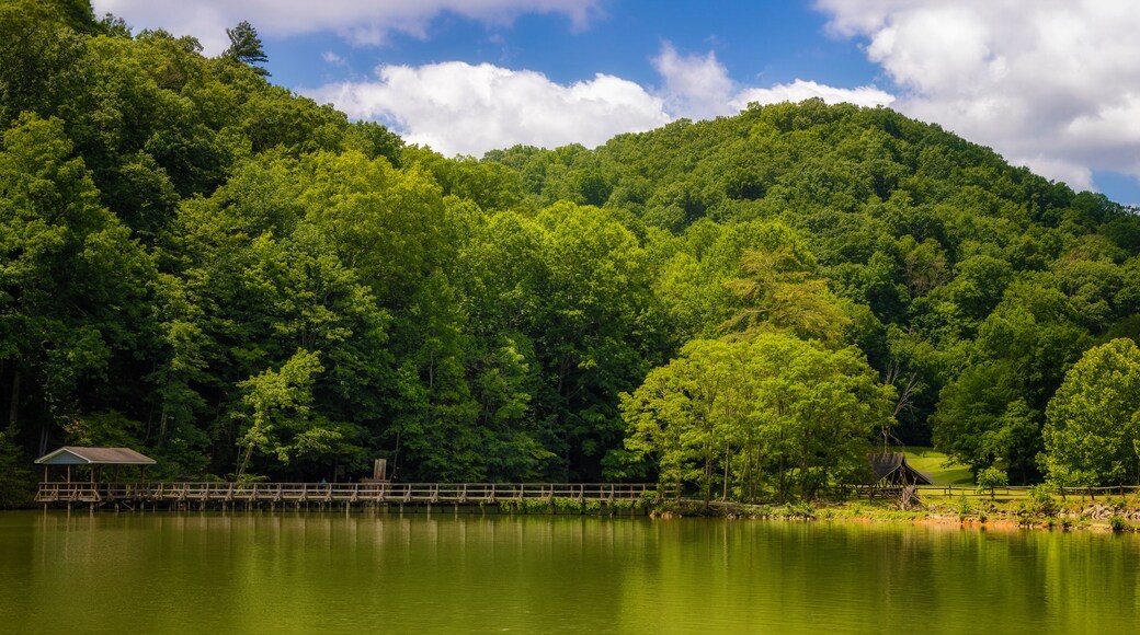 Beautiful Steele Creek Park in Bristol, Tennessee, USA