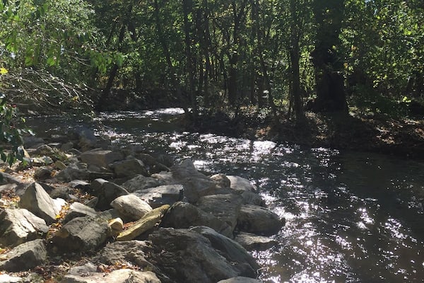 Une rive rocheuse bordant un cours d’eau où l’eau coule, le tout étant entouré d’un feuillage vert et dense.