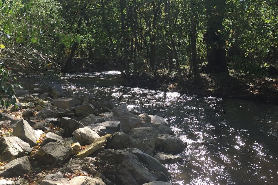 A rocky riverbank with a flowing stream surrounded by dense green foliage.