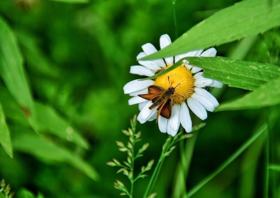 So little I almost overlooked it.