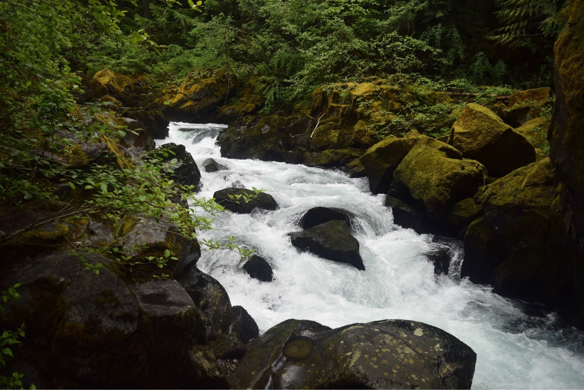 #auquatrove could have sat here all day