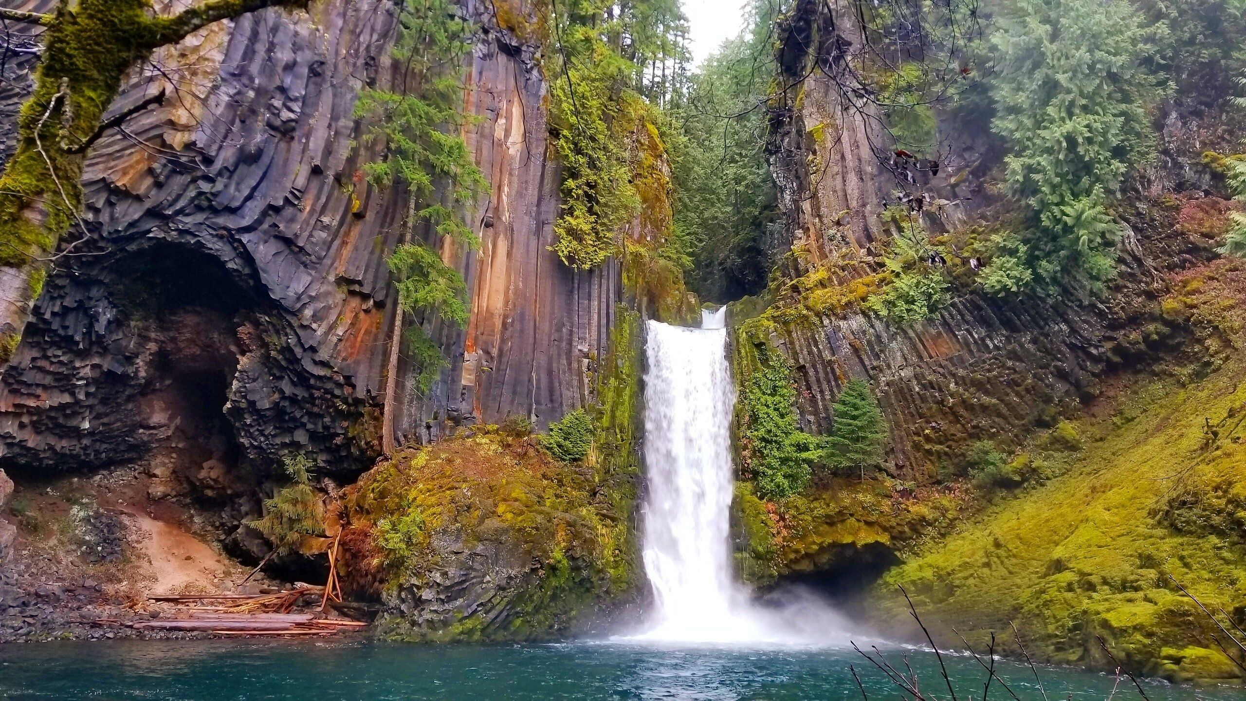 One of the best waterfalls in Oregon!
#oregon #pnw #waterfall #hike #roadtrip #nature
#greatoutdoors