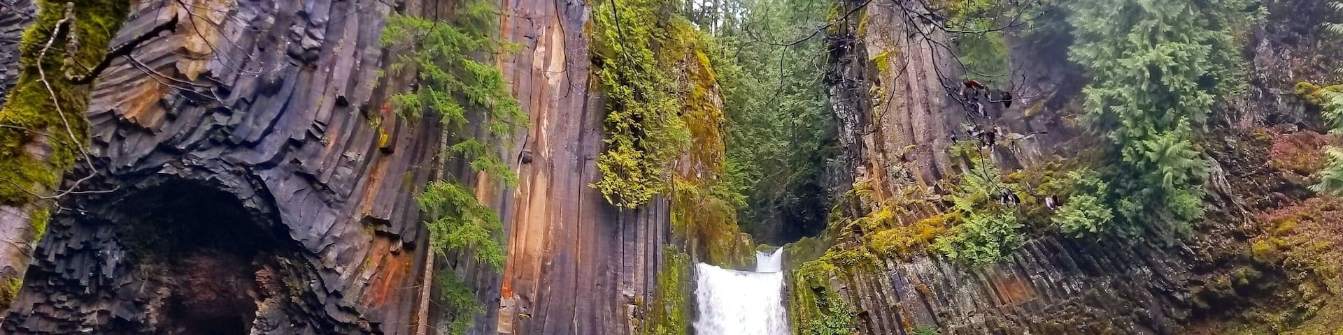 One of the best waterfalls in Oregon!
#oregon #pnw #waterfall #hike #roadtrip #nature
#greatoutdoors