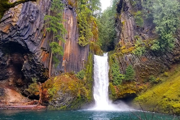 One of the best waterfalls in Oregon!
#oregon #pnw #waterfall #hike #roadtrip #nature
#greatoutdoors