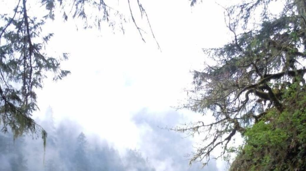 Stunning view from the path along the Eagle Creek trail. This was one of my most favorite day hikes.