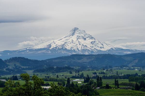 Mt. Hood