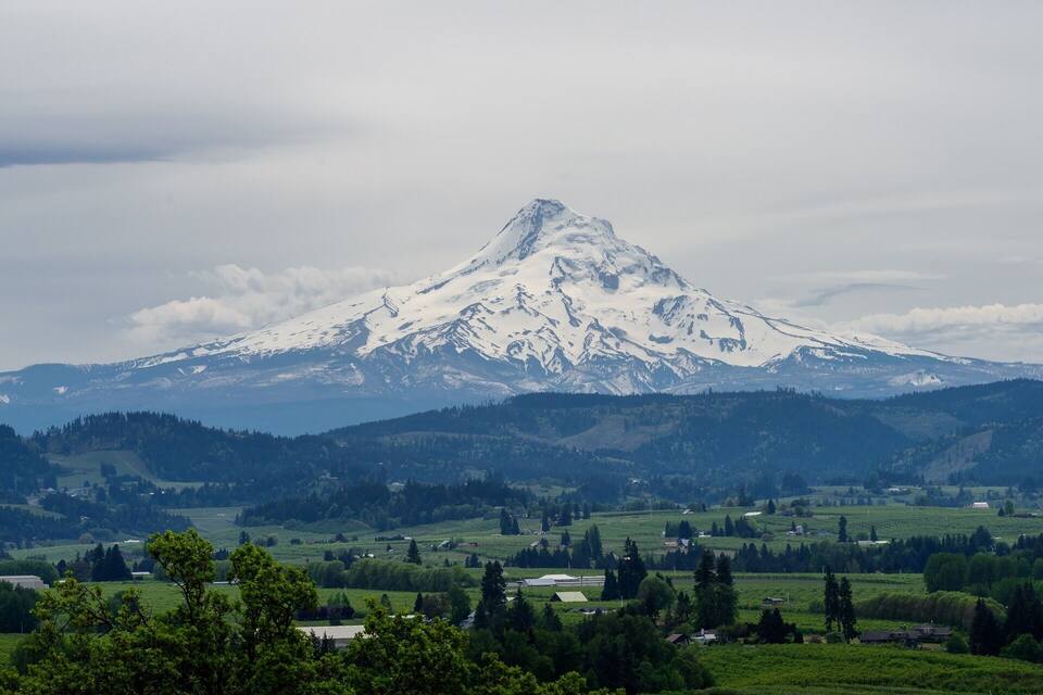 A snow-capped mountain with a forested valley below.
