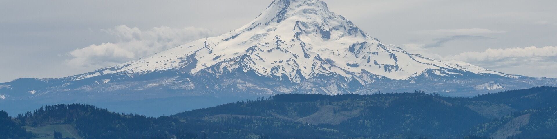 Mt. Hood