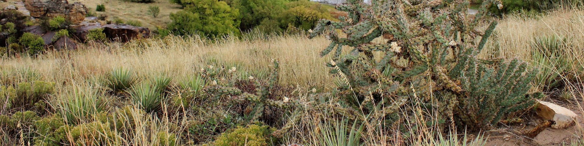 Beautiful View of Lake Carl Etling from the Scenic Overlook in Black Mesa State Park in the Panhandle of Oklahoma