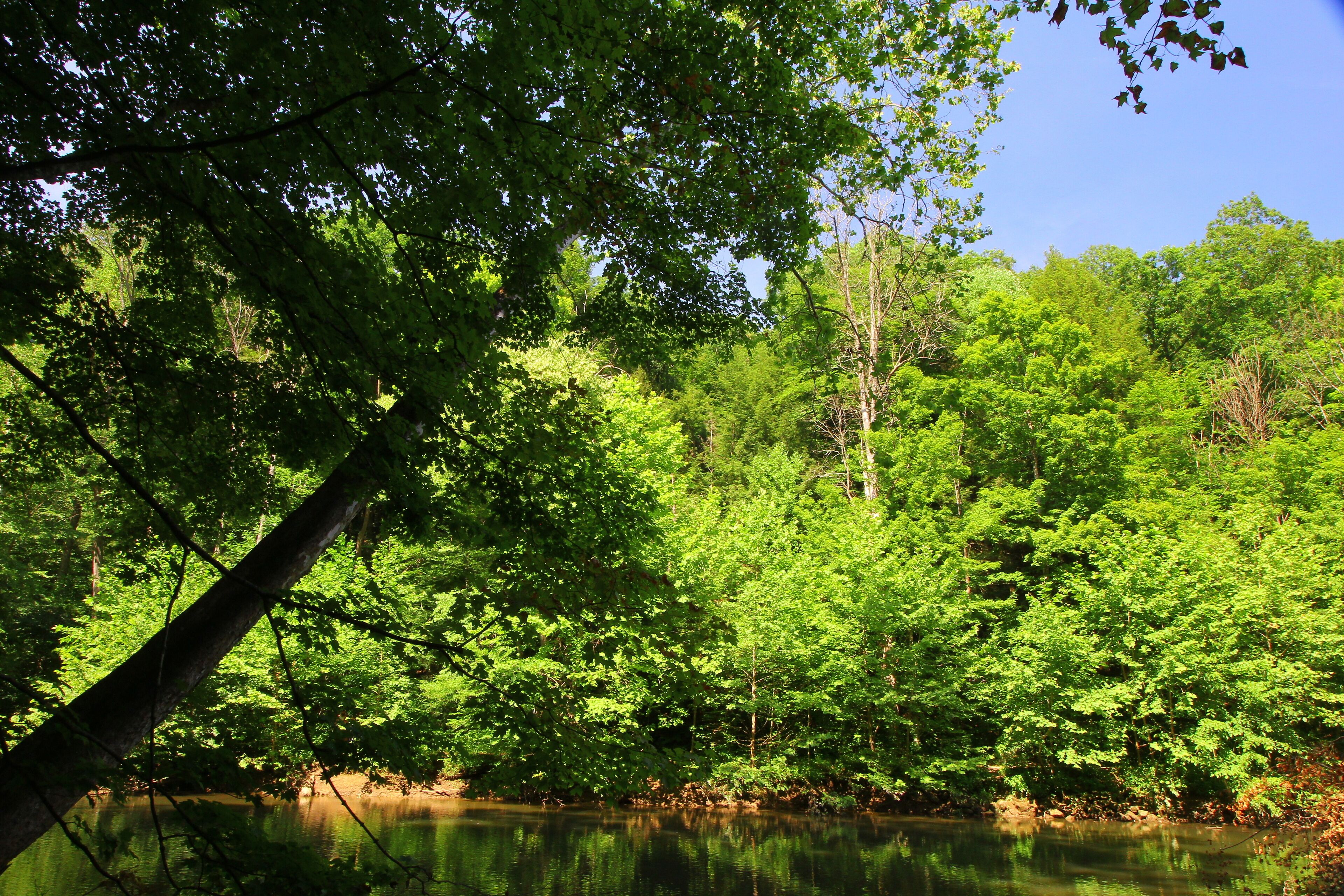 Mohican River in Summer, Mohican State Park, Ohio
