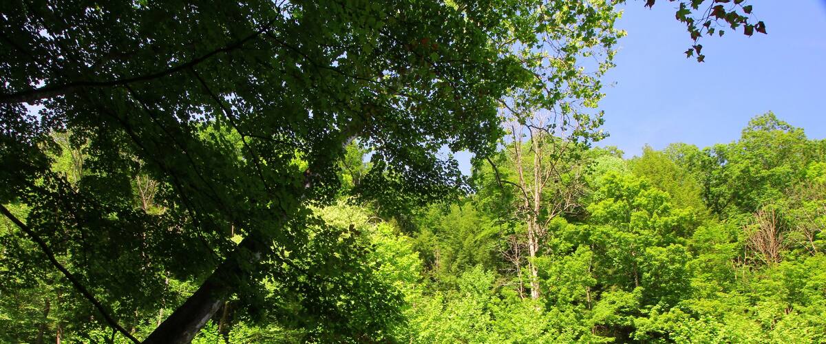 Mohican River in Summer, Mohican State Park, Ohio