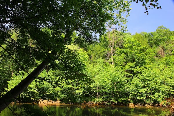 Mohican River in Summer, Mohican State Park, Ohio