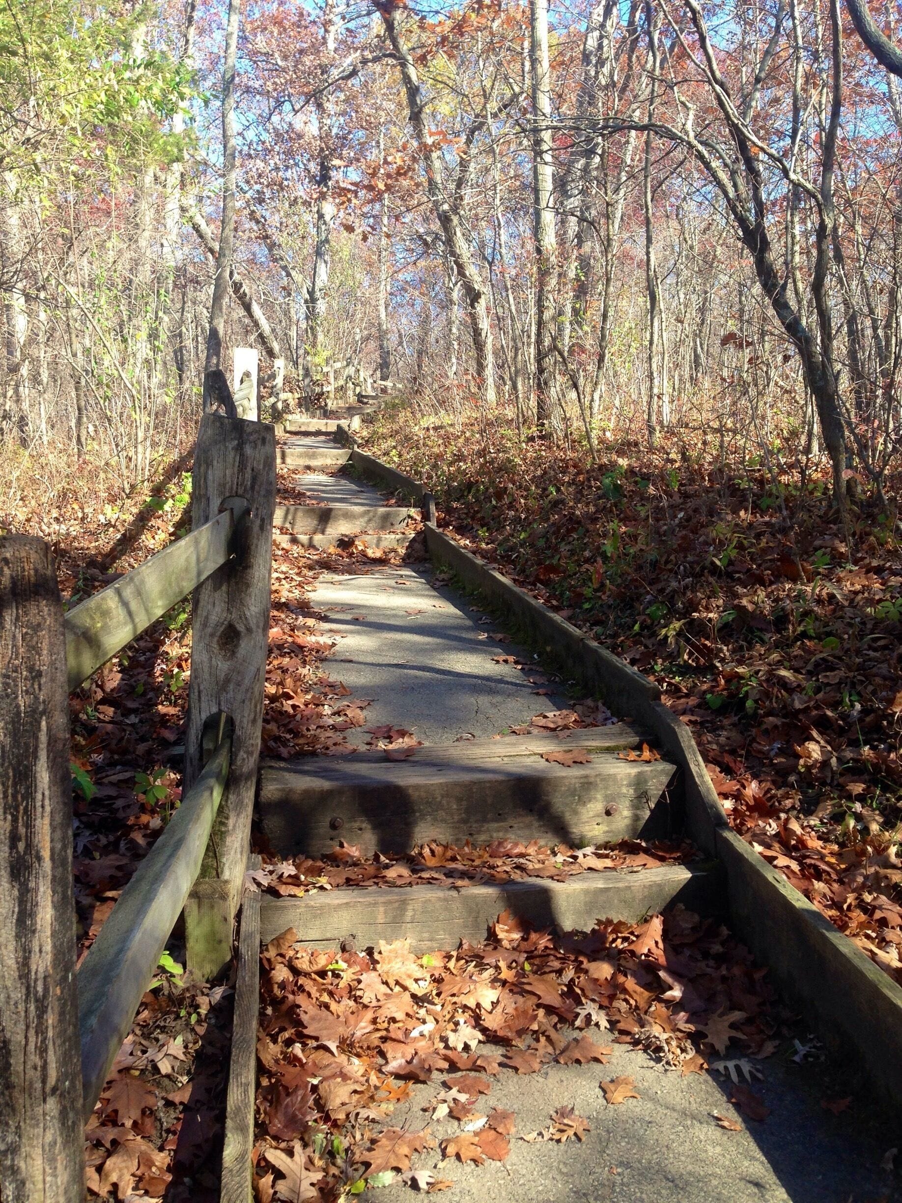 A trail in the fall at Battelle Darby Creek Metro Park. 